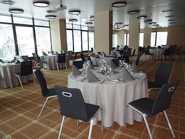 HVD Grand Hotel Suhl: Sala de conferências